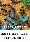 sugarants-tathra